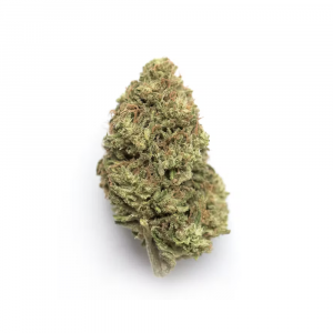 Animal Cookies - Hybrid