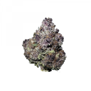 Pyro King - Hybrid
