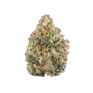 White Widow - Hybrid